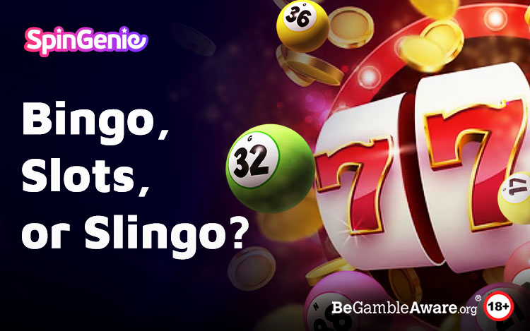 Slots Bingo Slingo