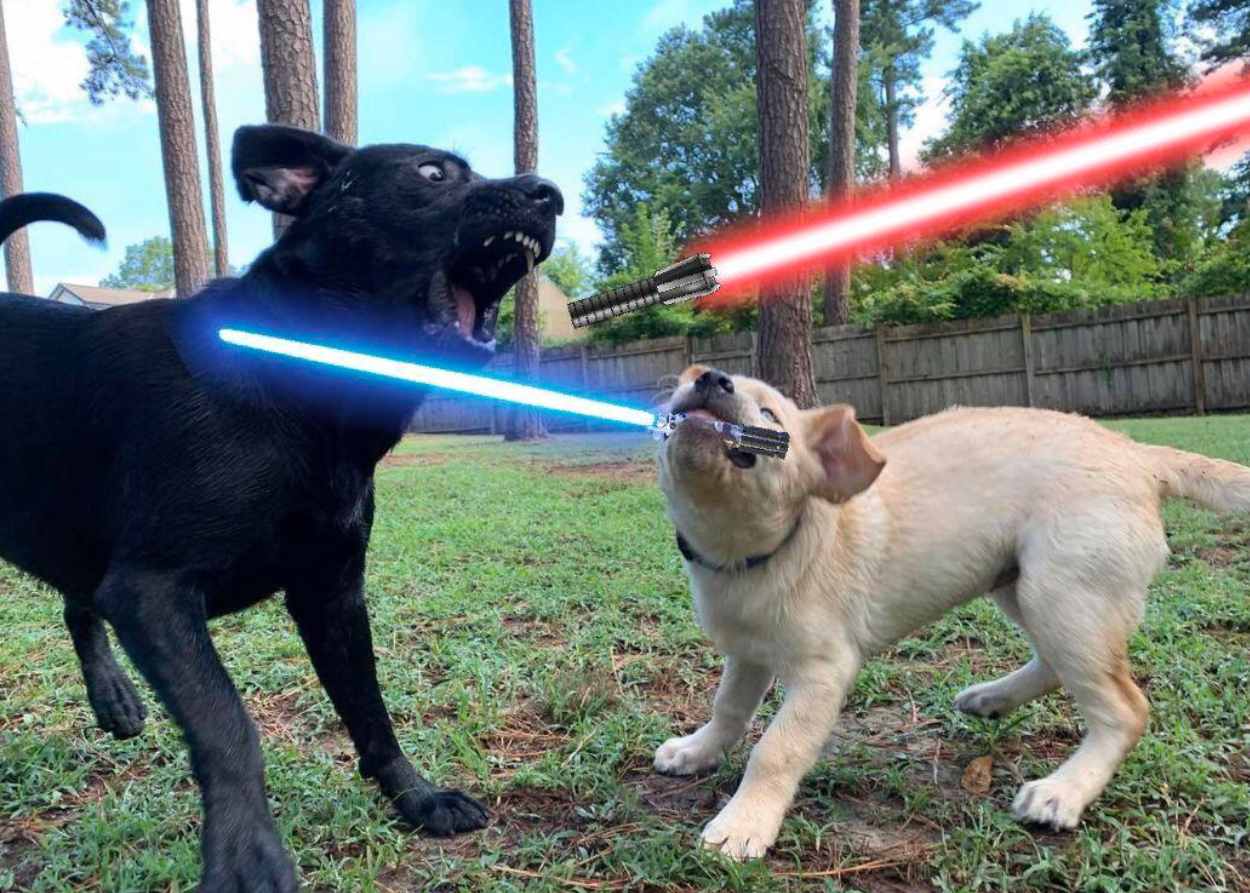 two dogs hold light sabers and battle