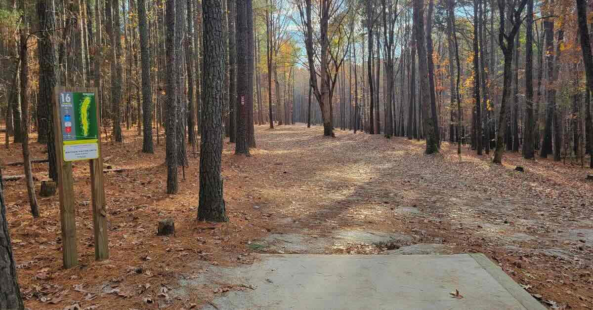 The end of a concrete disc golf tee pad in front of a wooded fairway