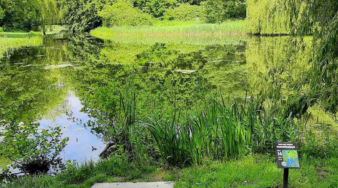 Teepad in front of a small pond in a park setting
