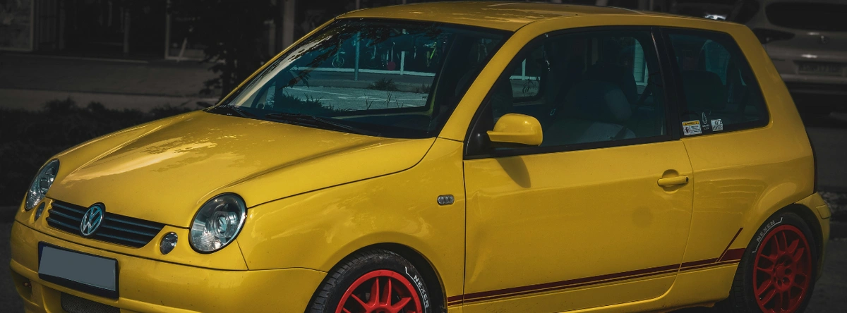 Lupo 2020