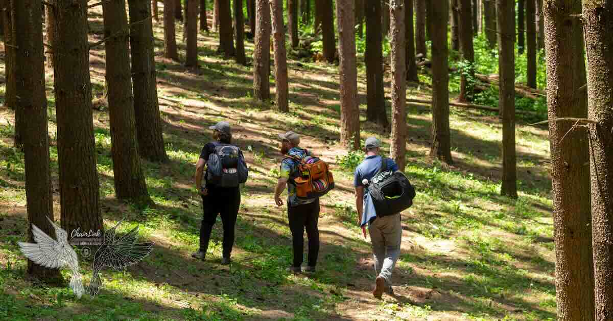 Three men with disc golf bags in a pine forest