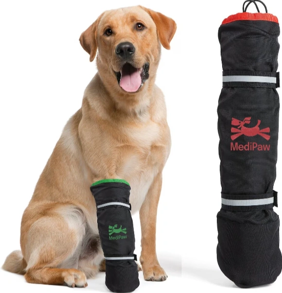 15 Dog Paw Care Products for Healthy Puppy Paws