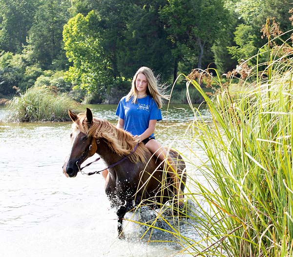 A person riding a horse