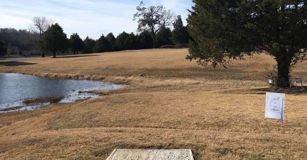 An open disc golf fairway with one tree and a water feature