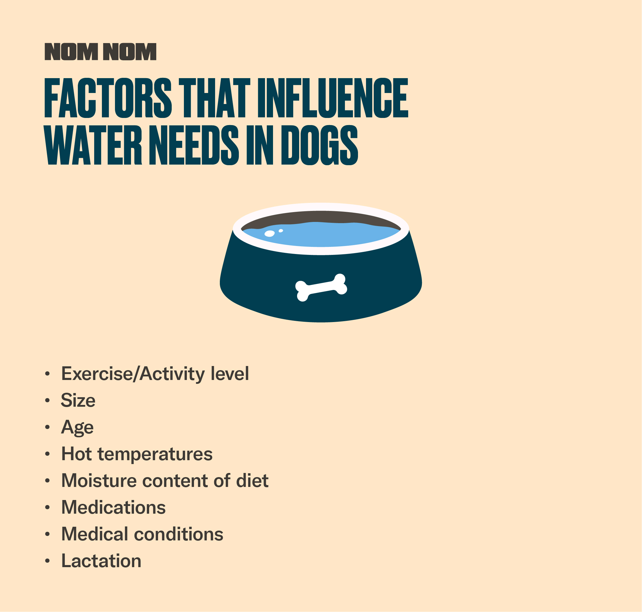 how much water should my dog drink calculator