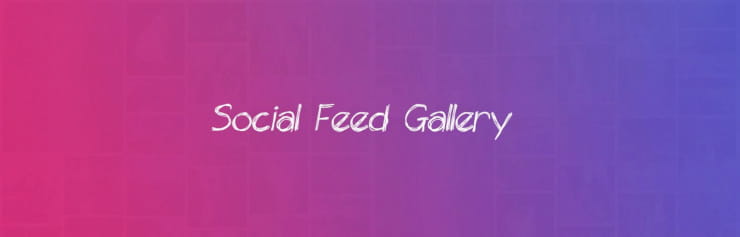 Social Feed Gallery Social Media Feed