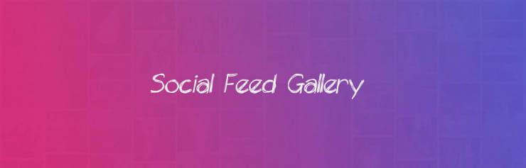 Social Feed Gallery instagram feed plugin wordpress