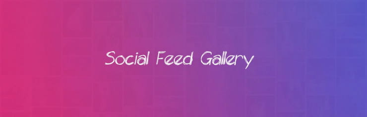 Social Feed Gallery instagram feed plugin wordpress