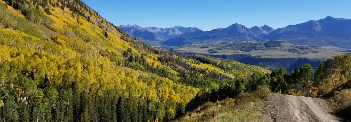 Fall Colors on Last Dollar Road