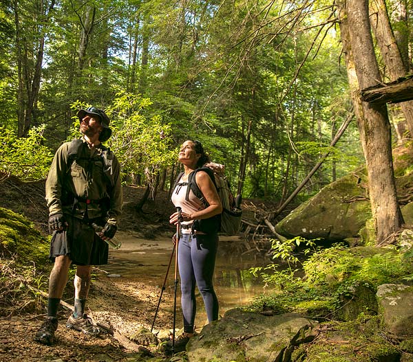 Bankhead National Forest