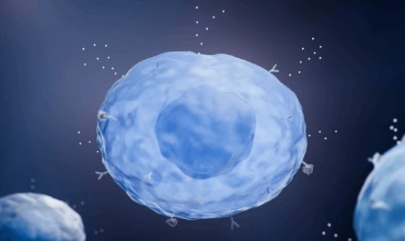 Mast Cell Activation Syndrome (MCAS)