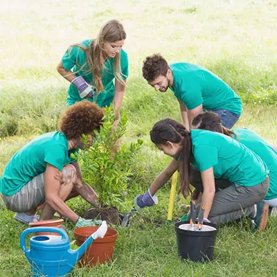 Volunteer group planting trees.