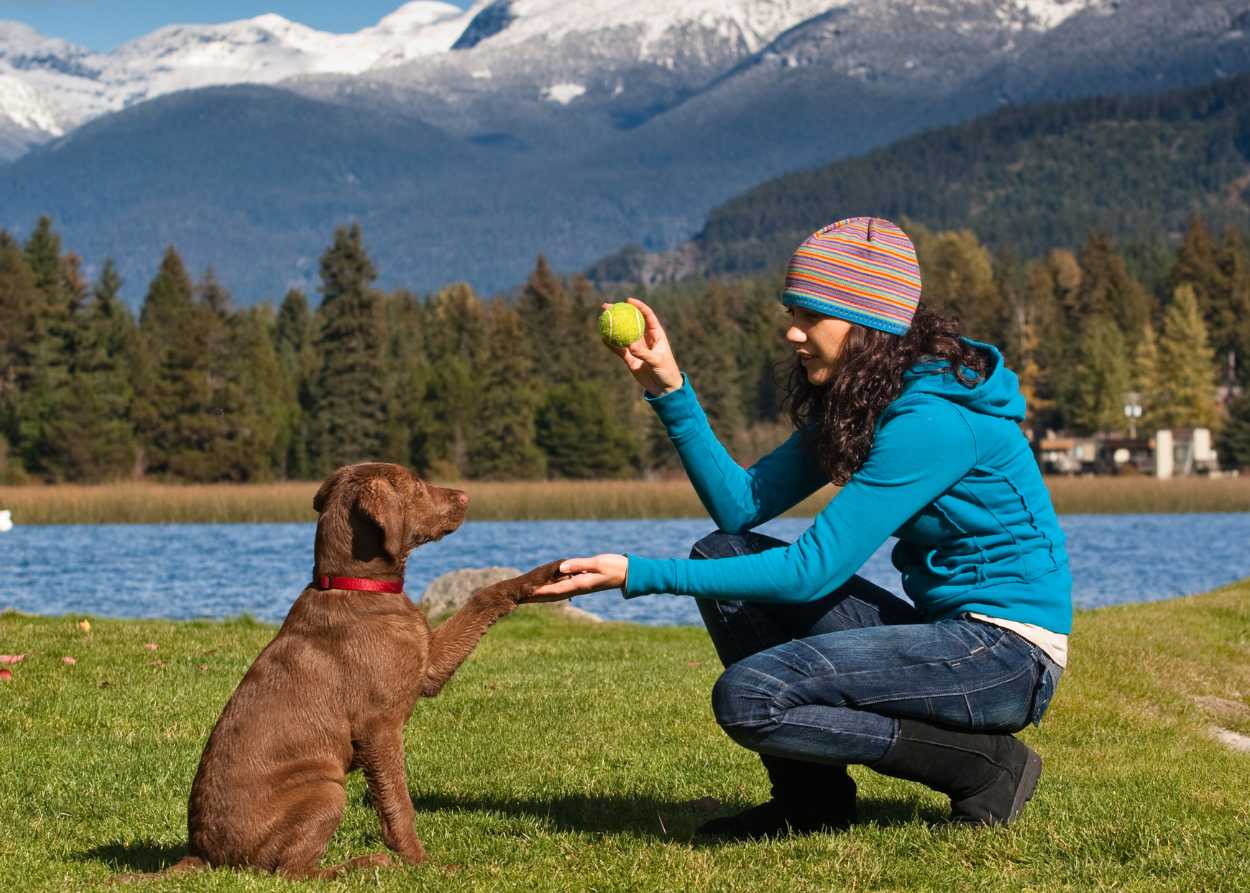 A woman holds a dog's paw with one hand and a tennis ball with the other