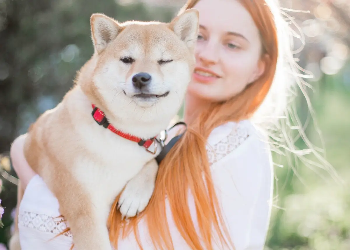 winkingshiba (1).webp