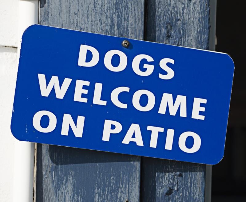 Sign posted reading "Dogs Welcome on Patio"