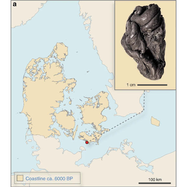 Map of the Syltholm chewing gum