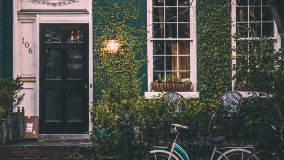 House entrance with black door and ivy on walls