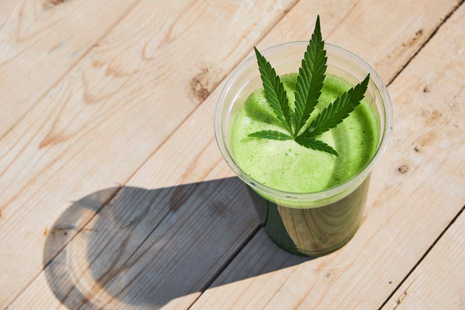 How to Juice Marijuana for a Healthy Lifestyle MAMA'S GANJA