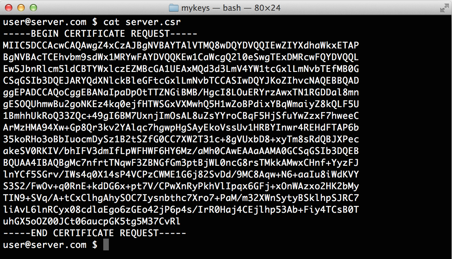 Openssl Generate Private Key And Csr