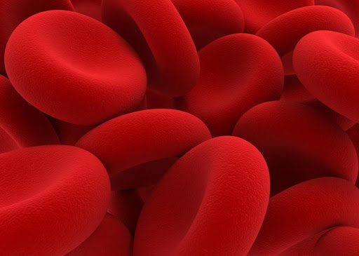 Red Blood Cells.jpeg