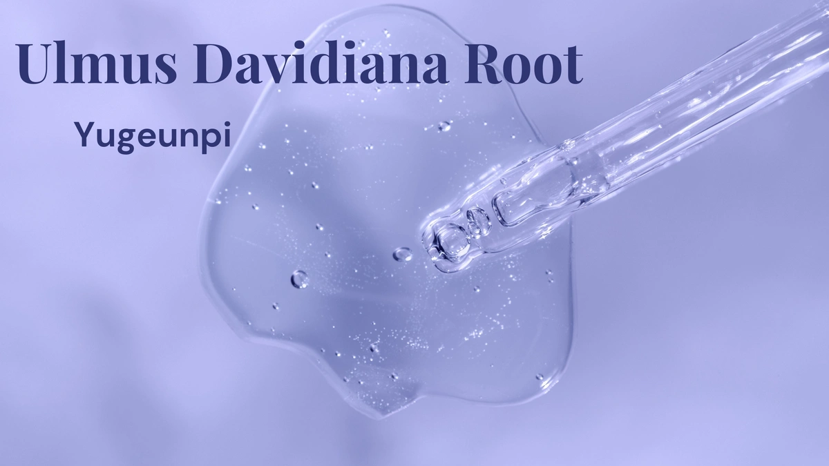 serums extract dripping from a medicine dropper with words Ulmus davidiana