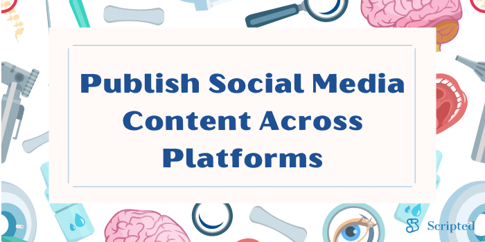 Step 6: Publish Social Media Content Across Platforms