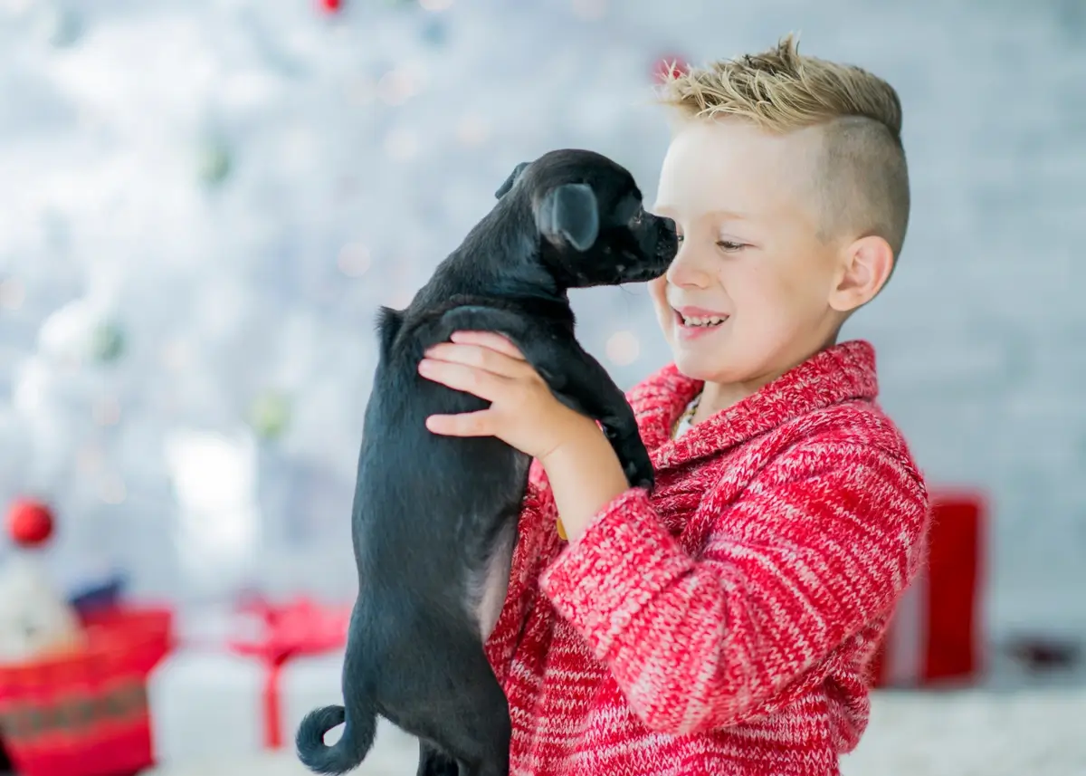 The Best Way to Surprise Someone with a Puppy for Christmas