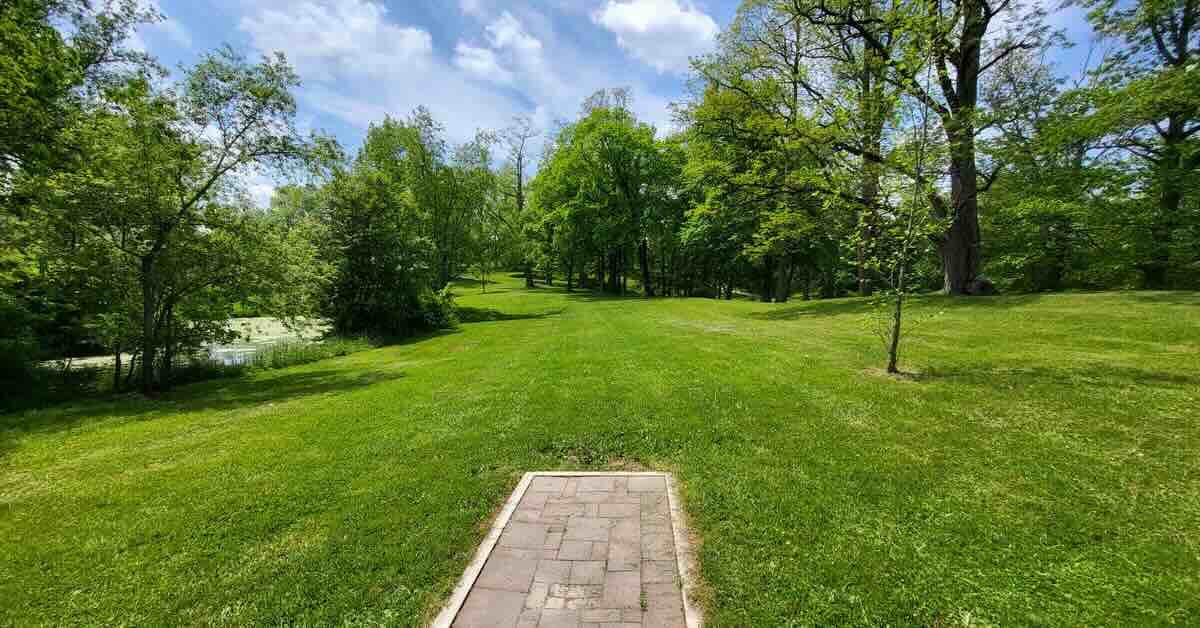 A disc golf tee pad in a very green park area with scattered trees