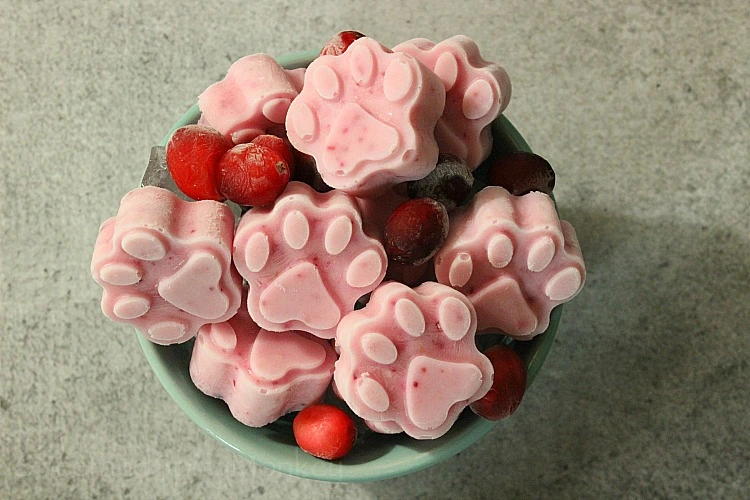 probiotic-cranberry-dog-treats.sweets...