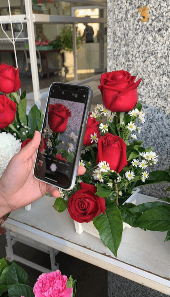 Big red roses found in Bangkok