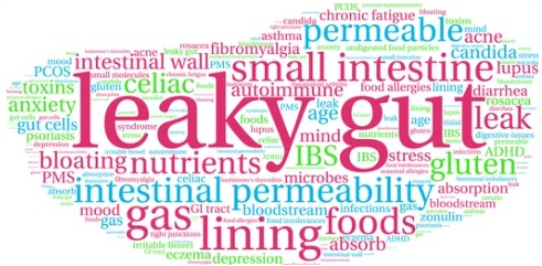 leaky gut word cloud