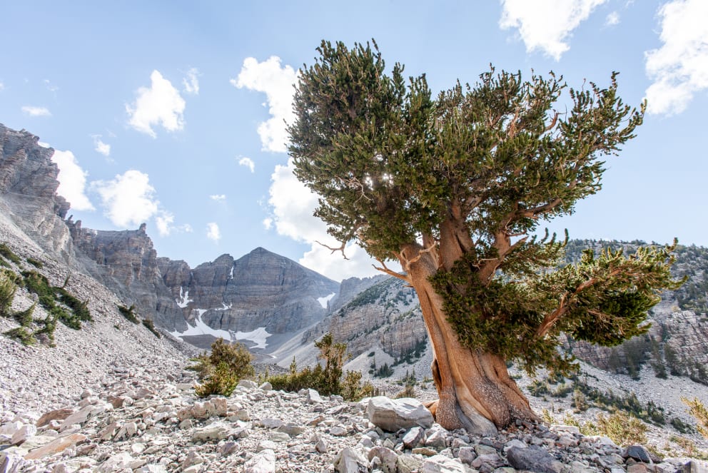 great basin in nevada