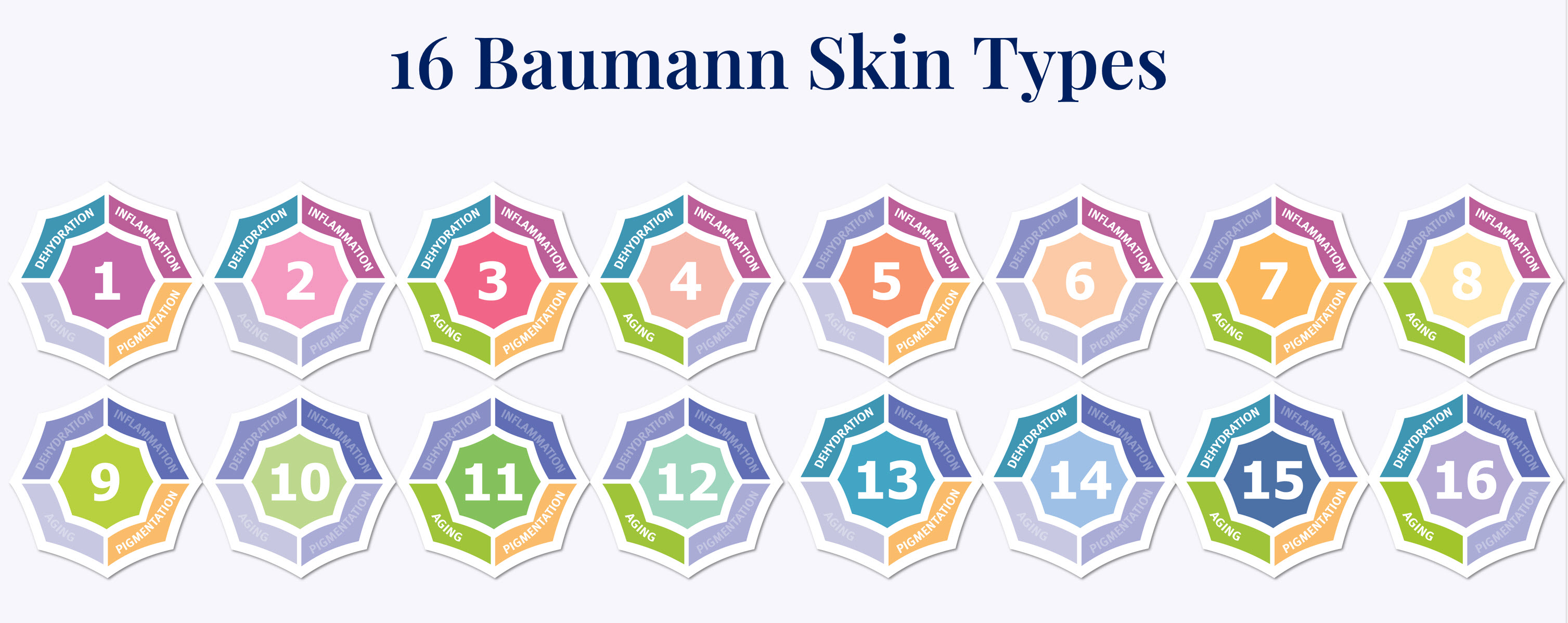 16 Baumann skin types