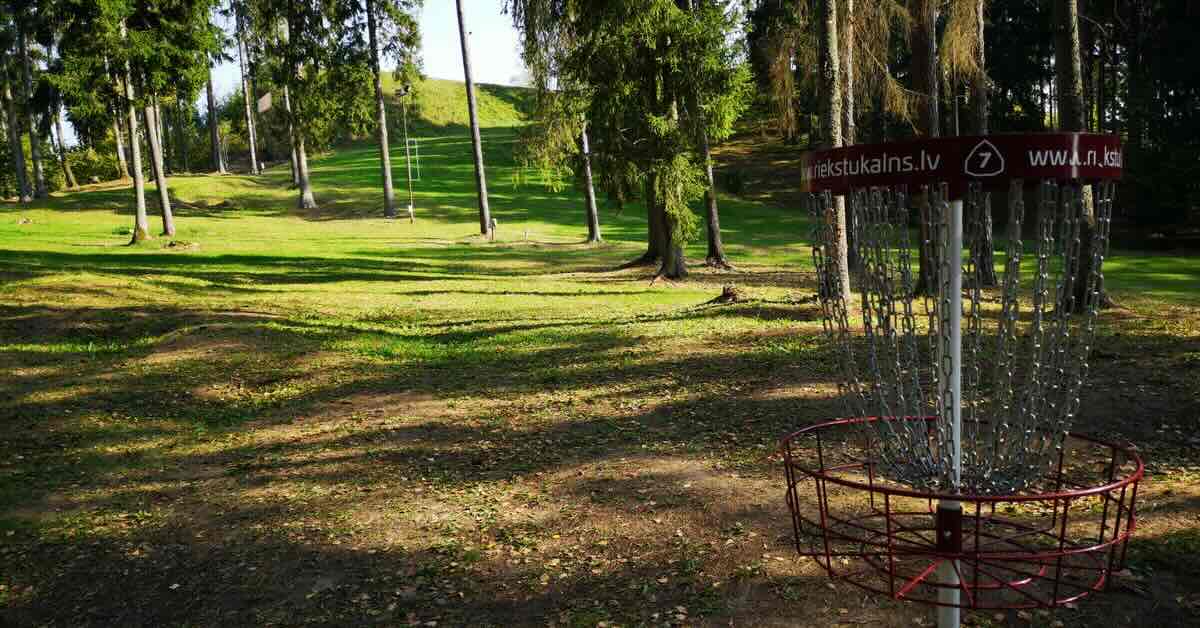 A dark red disc golf basket in a well-kept, park-like area