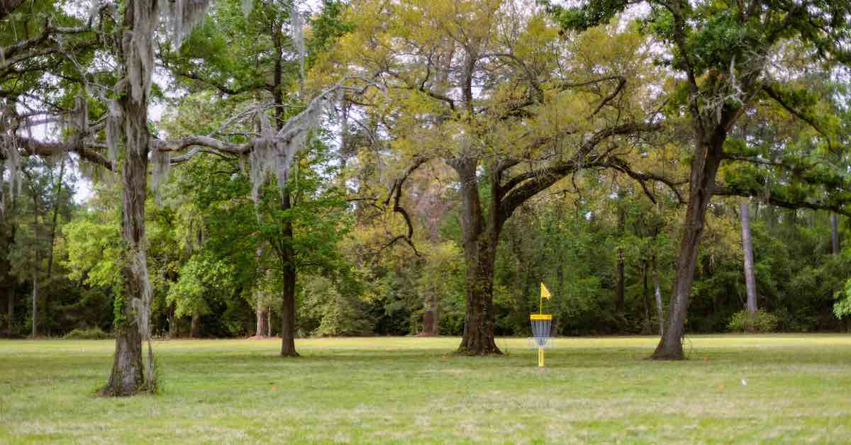 A yellow disc golf basket in a flat area under large trees with Spanish moss