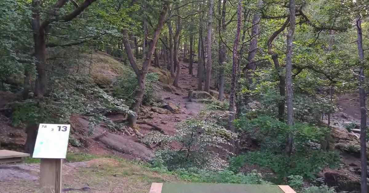 Tee pad leading to a tightly wooded fairway