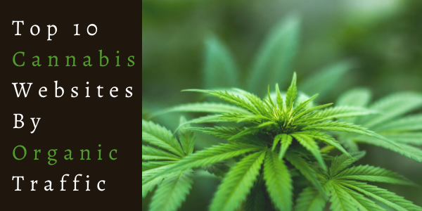 Top 10 Cannabis Websites By Organic Traffic