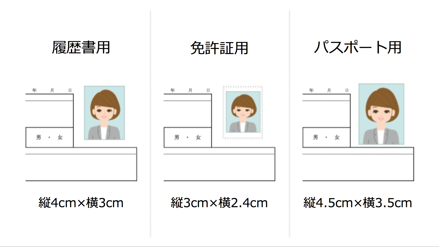 履歴書の写真サイズって 貼る前に読みたい注意点まとめ Jobshil