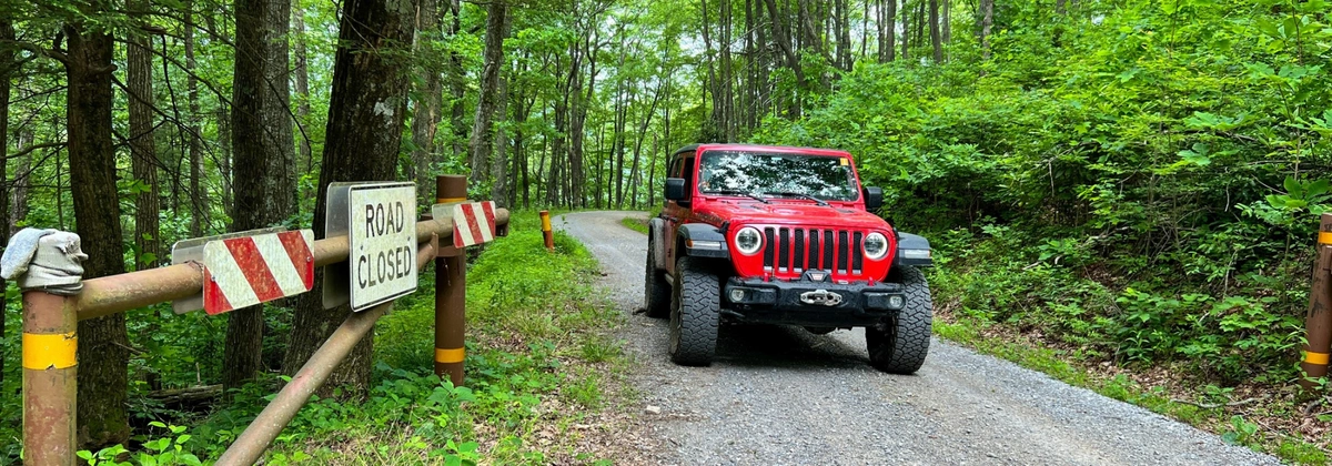 Hurricane Gap Road.webp