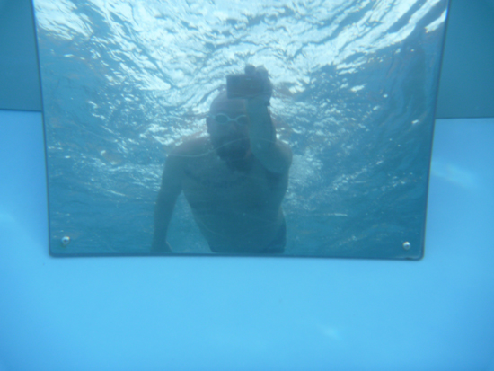 open water swimming blogger Rob D. using the underwater swim mirror in the Endless Pool