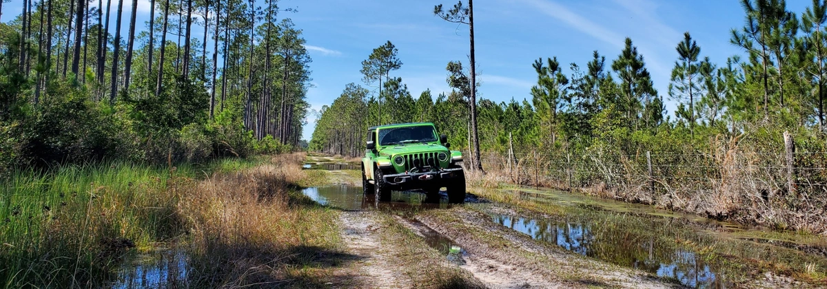 Osceola - FR237.webp