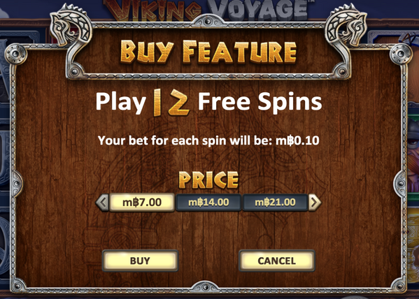 Viking video slot