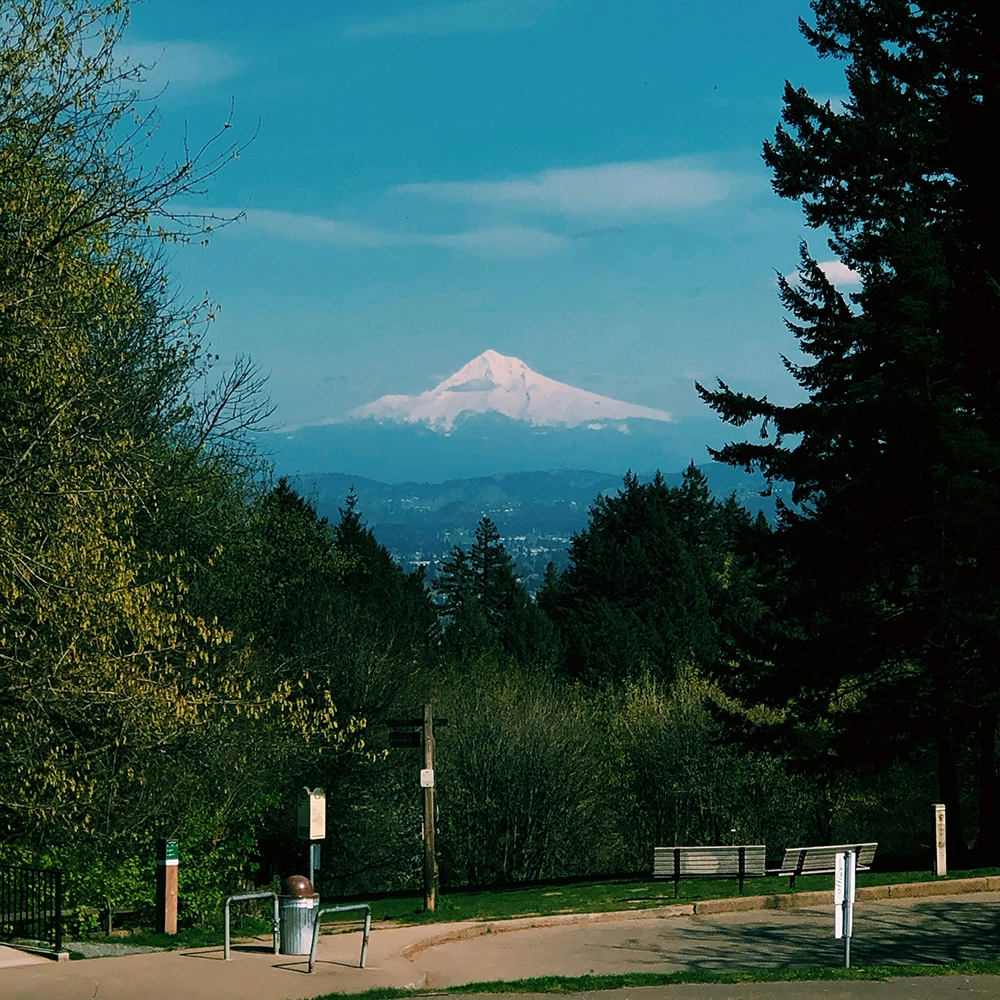 Mt. Hood.webp