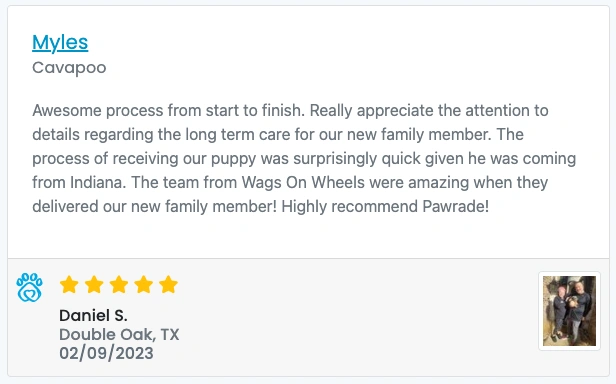 Screen Shot 2023-02-23 at 4.08.25 PM.webp