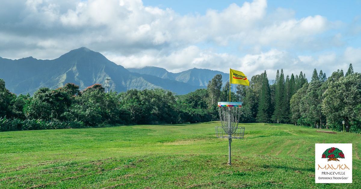 A disc golf basket in a manicured area with large, tree-covered mountains in the distance