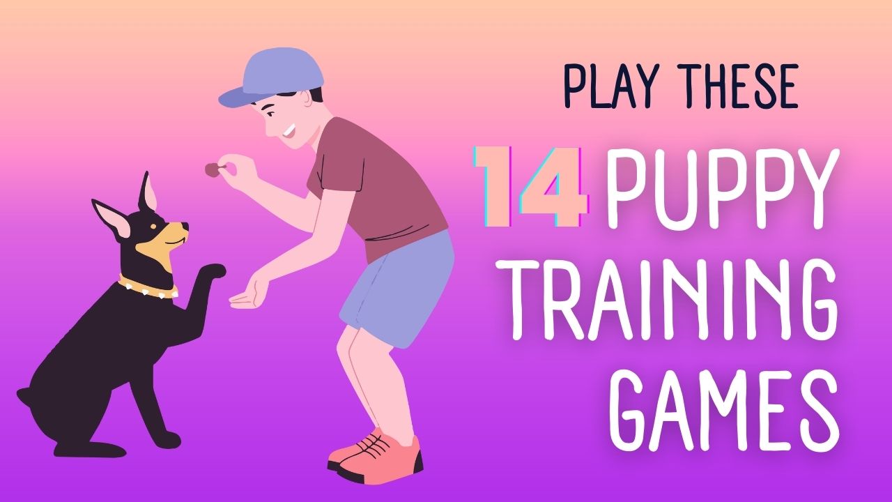 text says play these 14 puppy training games and has a graphic of a dog and a man