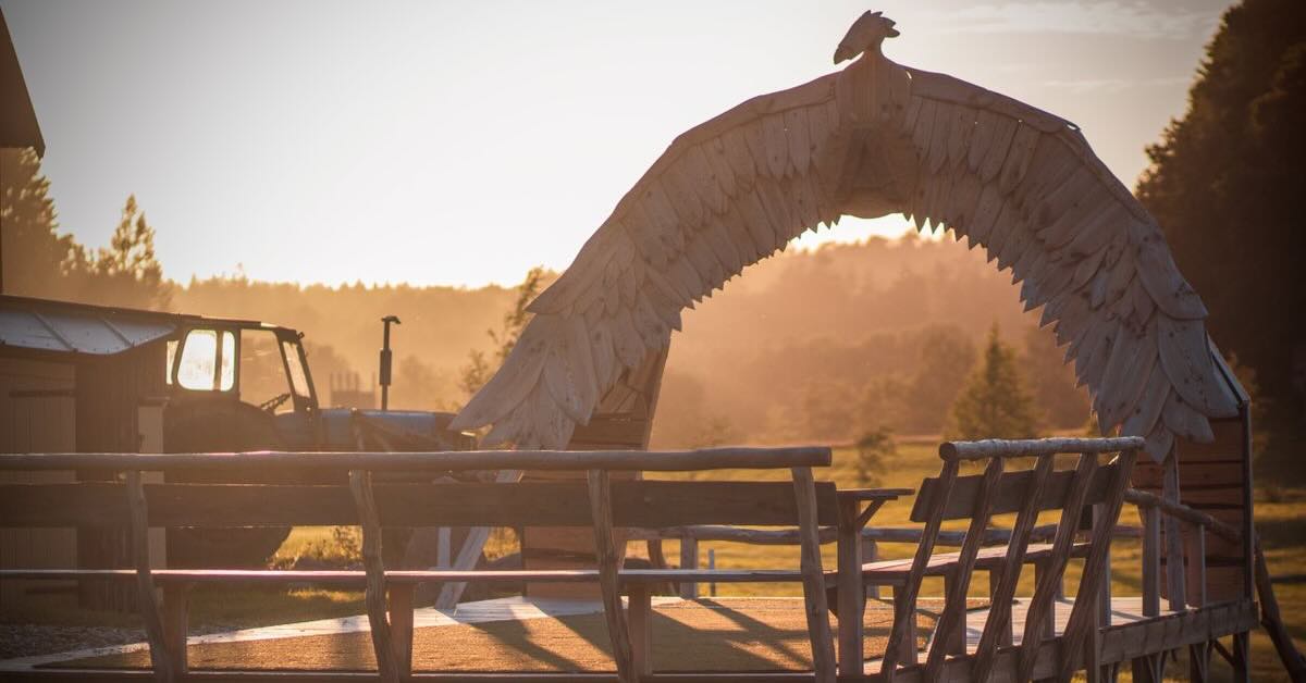 A wooden platform disc golf tee pad with an arch made to look liek the feathers of a giant bird