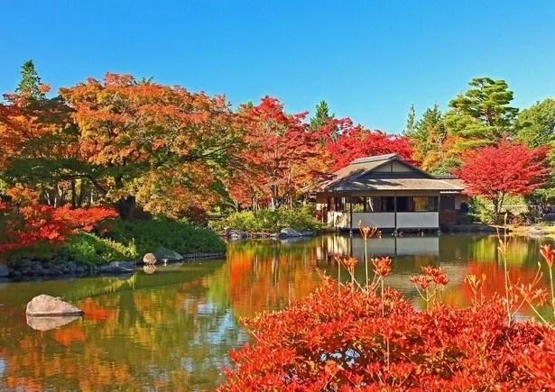 國營昭和紀念公園