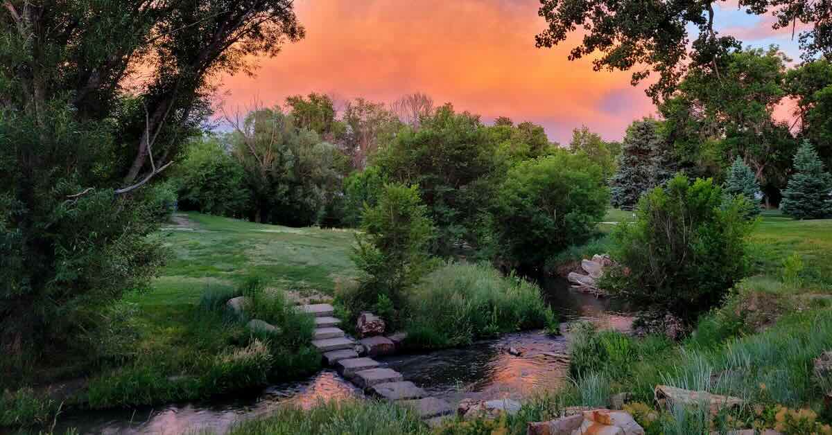 A park setting at sunset with stones set in a creek as a crossing